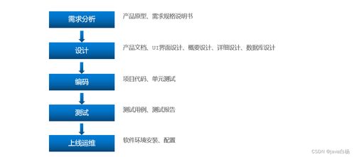 软件开发全流程 角色分工与环境管理实践指南